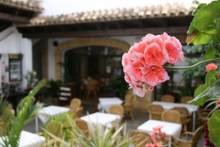 Hostal Torre De Guzman Conil De La Frontera Exteriör bild