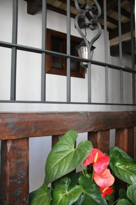 Hostal Torre De Guzman Conil De La Frontera Exteriör bild