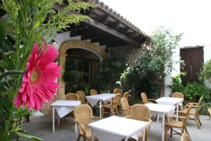 Hostal Torre De Guzman Conil De La Frontera Exteriör bild